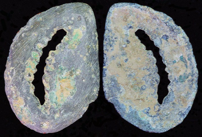China - Bronze Cowrie
