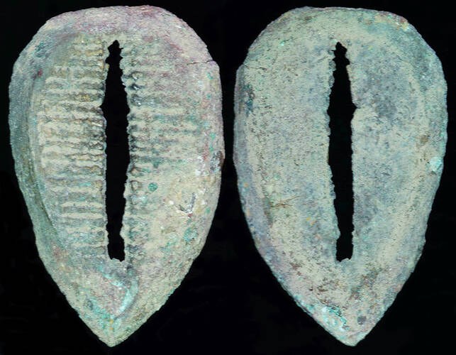 China - Bronze 'Grate' Cowrie