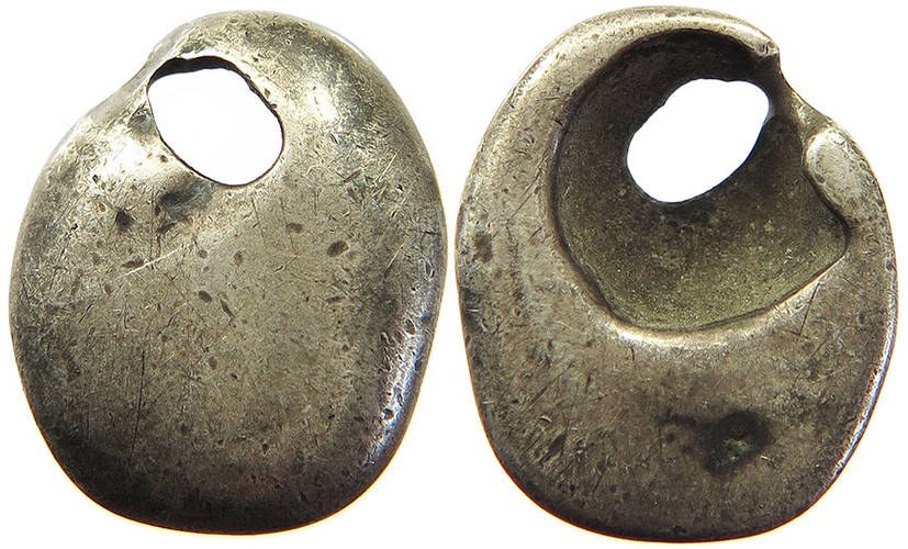 China - Silver Cowrie