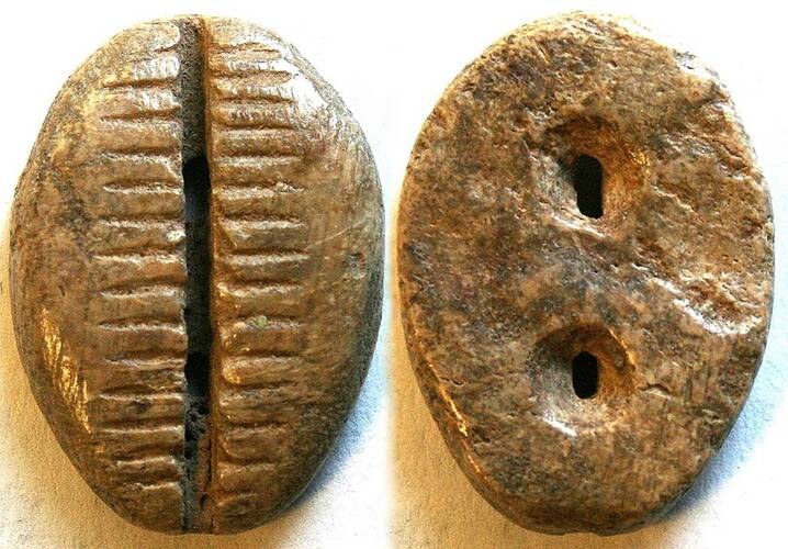 Chine - Brown Bone Cowrie Money