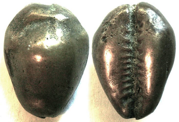 China - Solid Bronze Cowrie