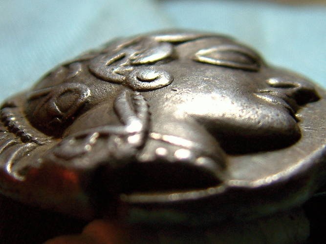 Macro Photo