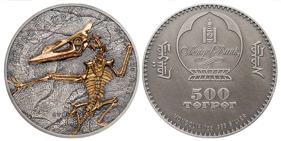 Mongolia - Pterosaur 500 Togrog 2018