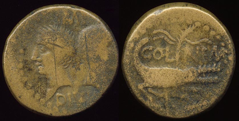 Augustus & Agrippa Nemausus Crocodile