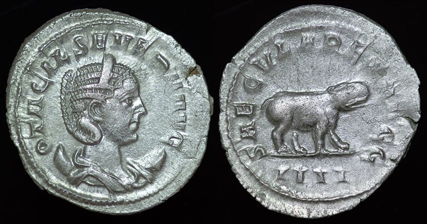 Otacilia Severa - Hippopotamus
