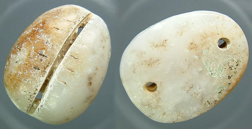 White Jade Cowrie - China