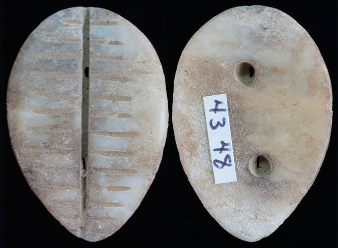 China - Jade or Calcite Cowrie