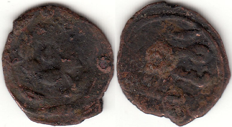 Jujid AE pul, Flower, Sarai al Jadid, 75x A.H.