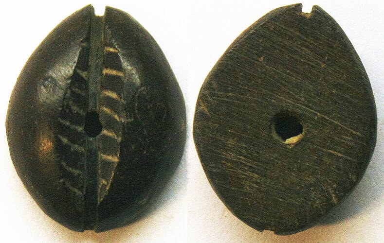 China - Black Bone Imitation Cowrie