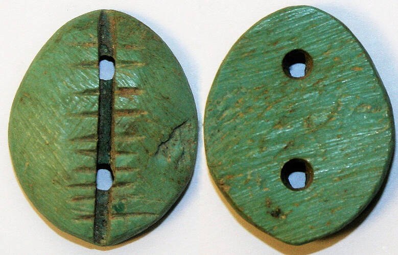China - Green Bone Imitation Cowrie