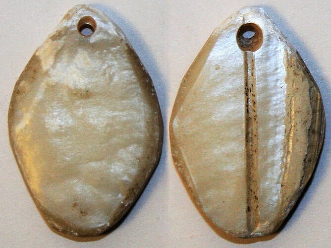 China - Mother of Pearl Shell Imitation Cowrie