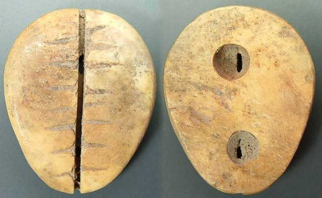 Ancient Chinese Bone Cowrie