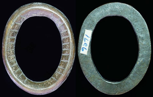 CHINA - Bronze Ring Cowrie