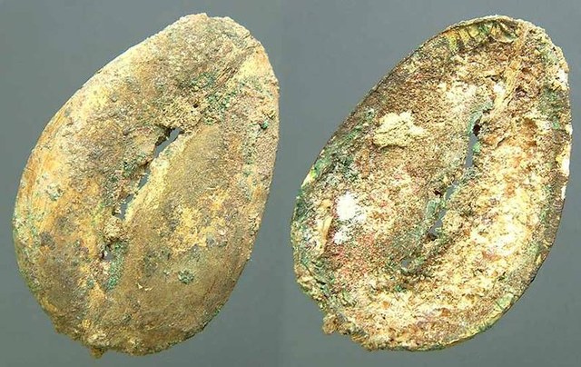 Gold leaf on Bronze Cowrie