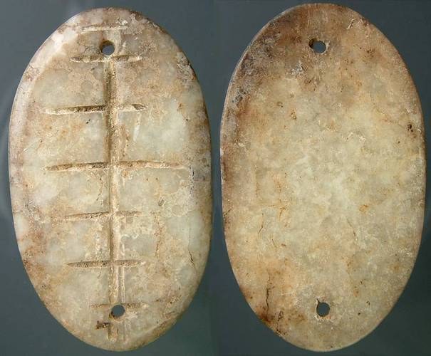 Flat Crystalized Bone or Jadeite Cowrie - China