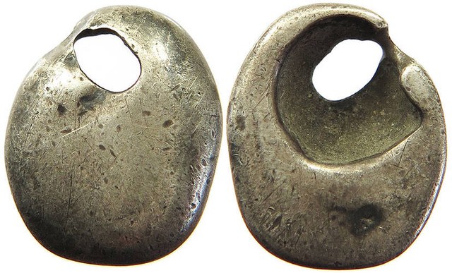 China - Silver Cowrie