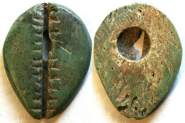 China - Green Bone Cowrie Money