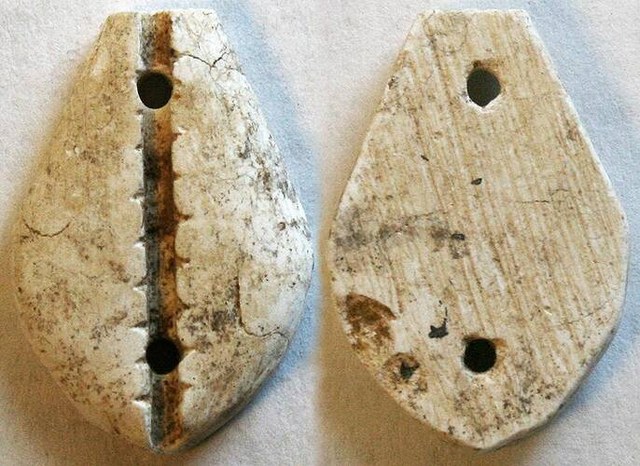 China - White Stone Casket Cowrie