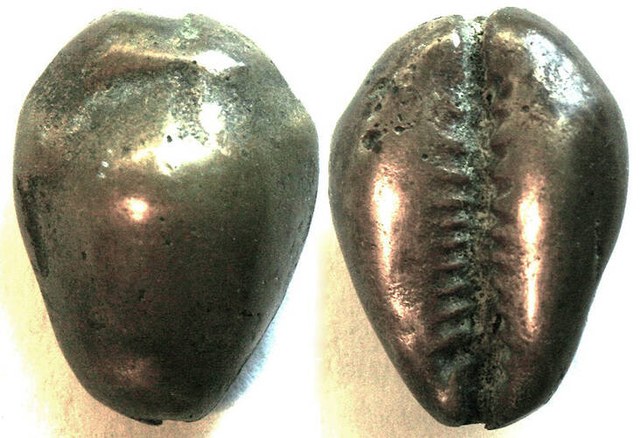 China - Solid Bronze Cowrie