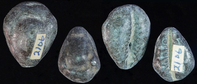 China or Thailand - Lead Cowries, medium & small