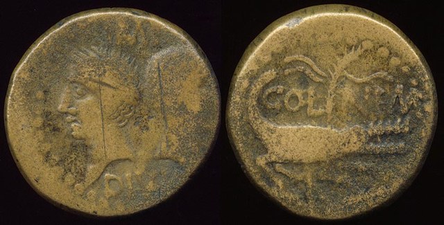 Augustus & Agrippa Nemausus Crocodile