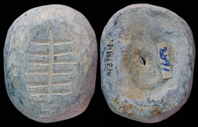 China - Oval lead cowrie