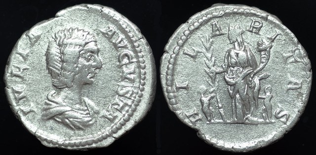 Julia Domna & Hilaritas, Denarius