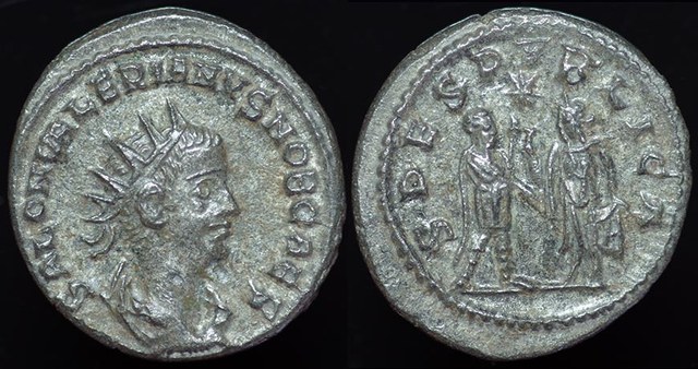Saloninus - Spes