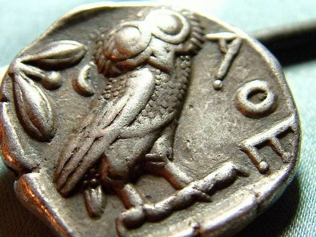 Macro Photo