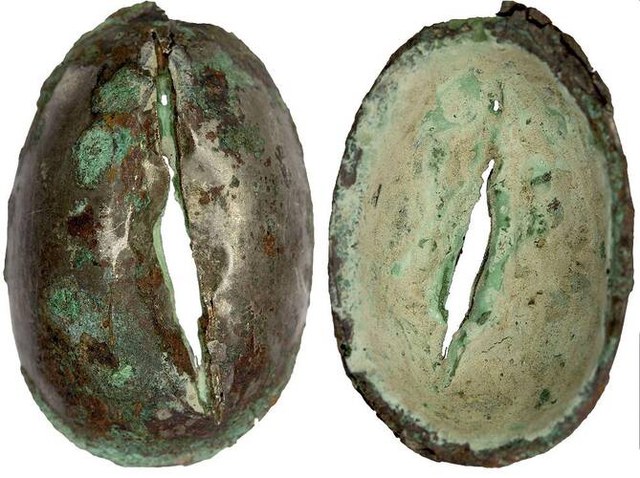 Zhou Silver covered Cowrie