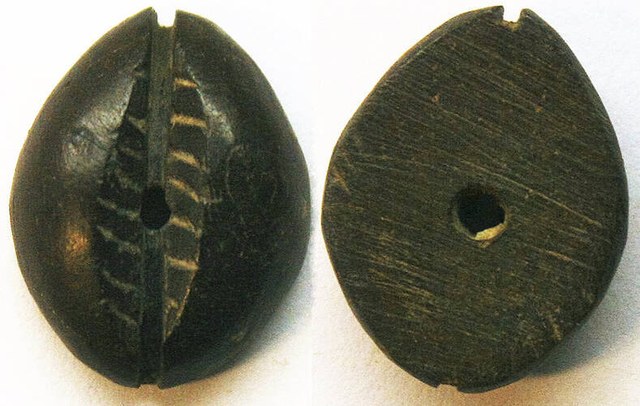 China - Black Bone Imitation Cowrie