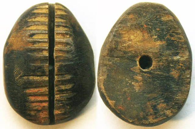China - Black Bone Imitation Cowrie