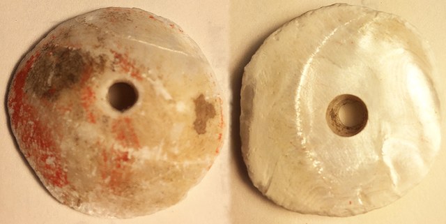 China - Round & Domed Shell Imitation Cowrie