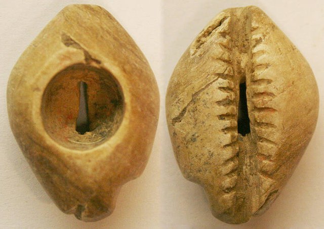 China - Stone Cowrie with large cavity